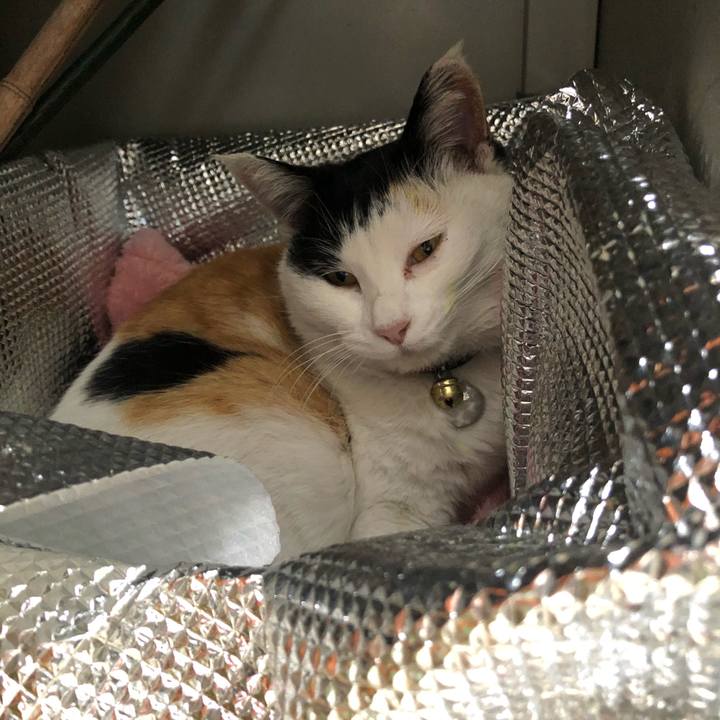 77dadab1 3592 4d52 9e18 6d58f842c2ee 1609416857232