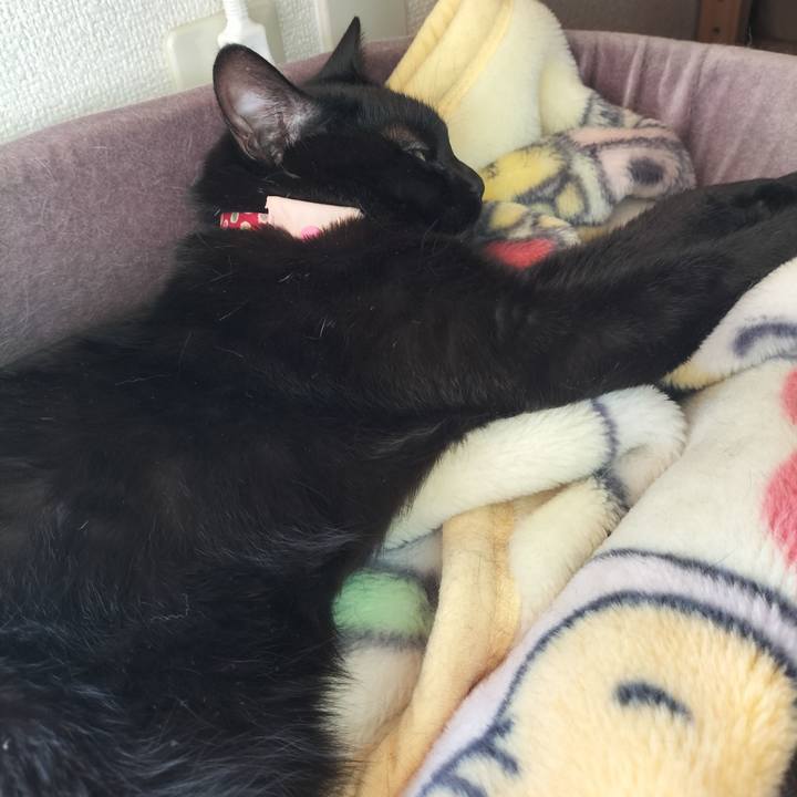 77daedb6 38f3 49b9 8f85 8e085dd2693f 1659050901419