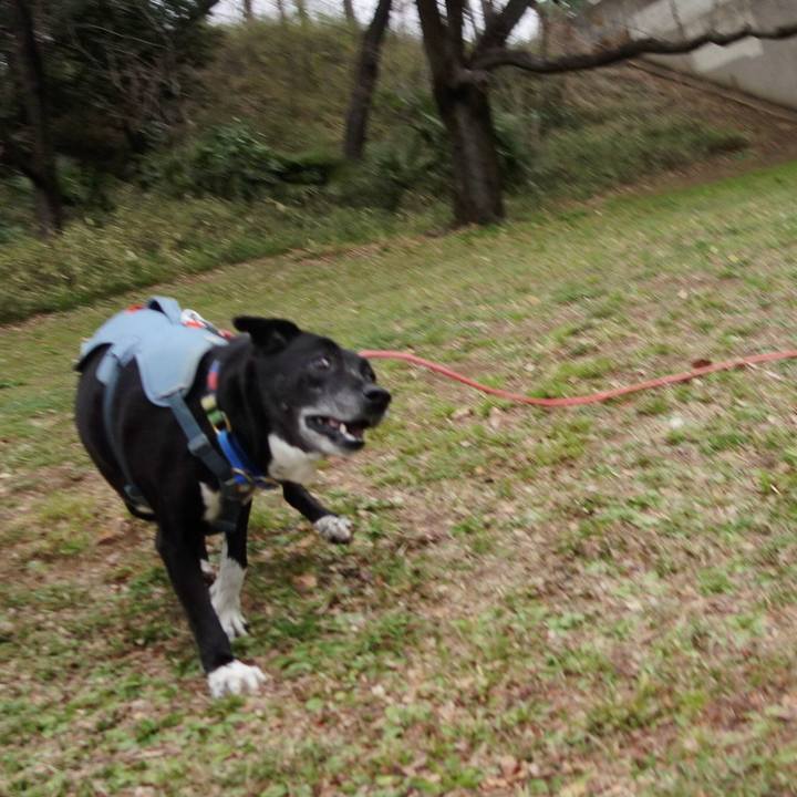 77db58ab e62b 4a3f a56d 22e067993117 1711154508112