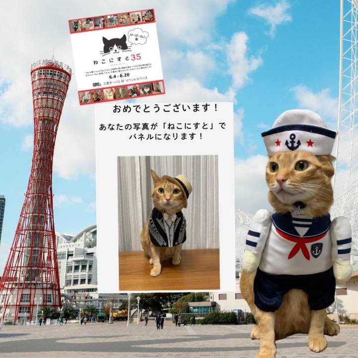 77db74c5 33c2 408f 931c 10ca192b30cf 1620984026647