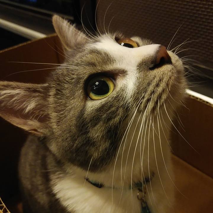 77db87a9 83f5 416c ae69 db7b237e13ae 1580311820639