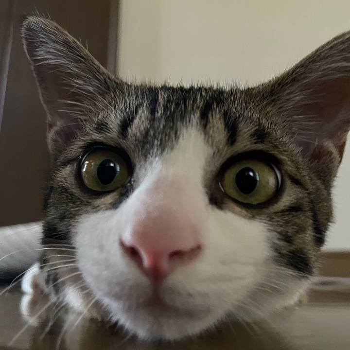 77db9606 4388 4386 8ef6 2ea4bd6a9a91 1726019539182