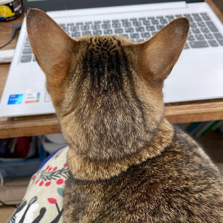 77db9a27 057f 4ae6 9ff5 74bdb1e4f915 1706528055396