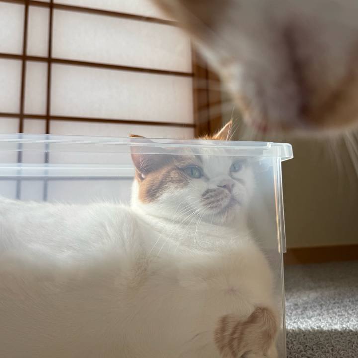 77dbaec4 b3cb 43f2 bbff b983ee2b2fca 1761705216301