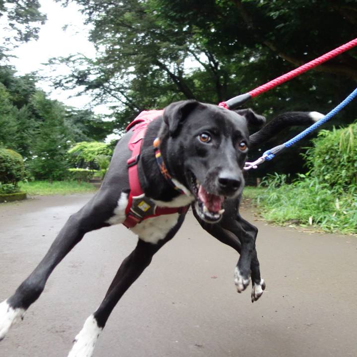 77dbb411 015d 4478 bbb4 536d49bd062c 1596154964435