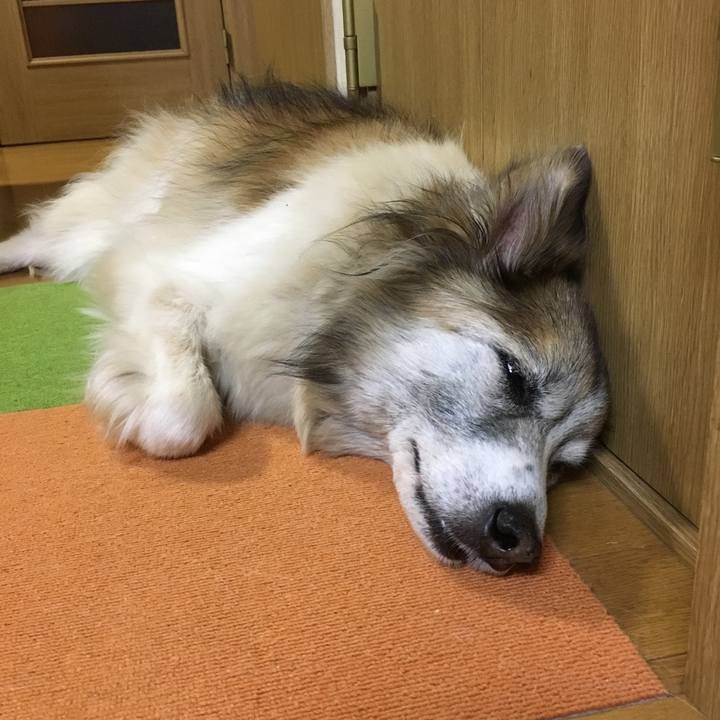 77dbb9a9 15e7 41ad b414 8444032e5474 1509888597395