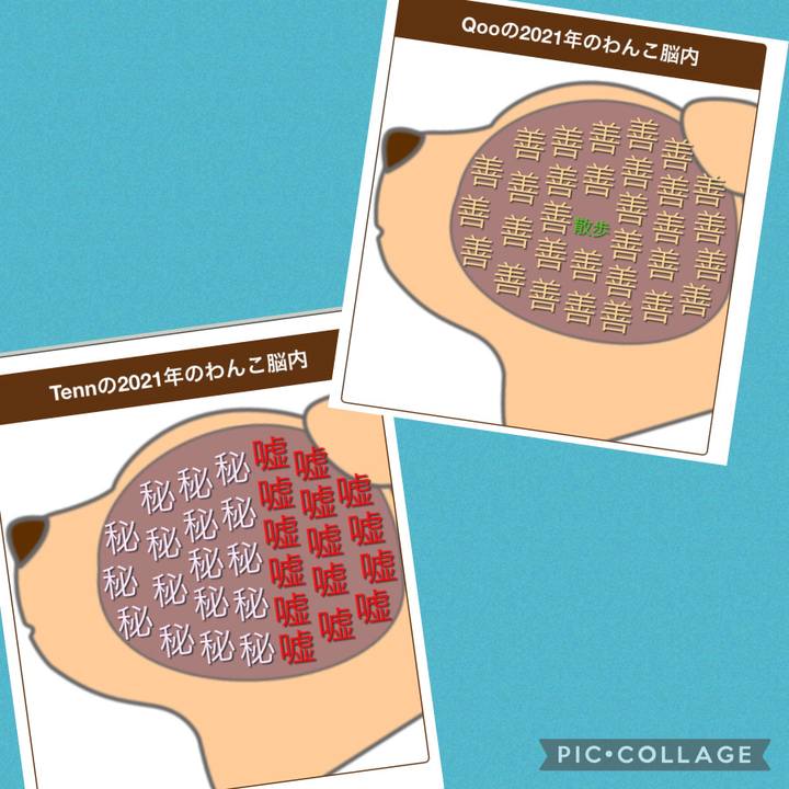77dbd963 e52a 47fa 8d05 6329a2634419 1625650856306