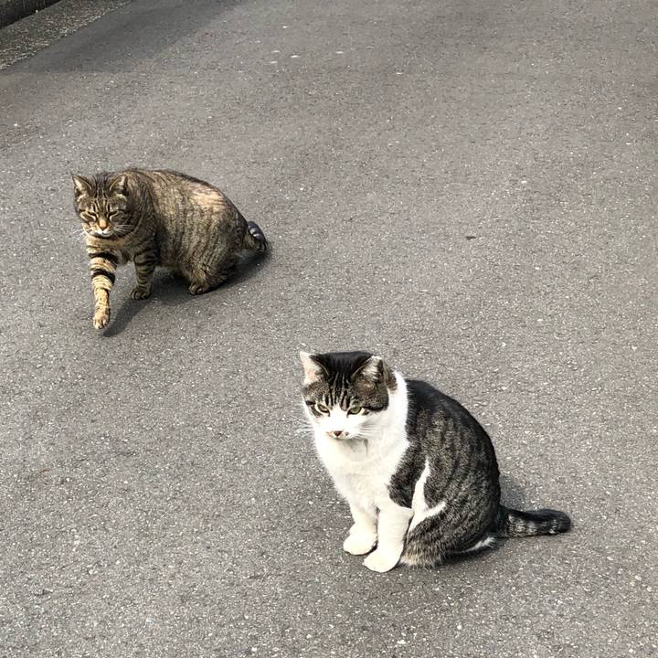 77dbde32 fb4a 46ee 910c f69584df88ee 1519789232327