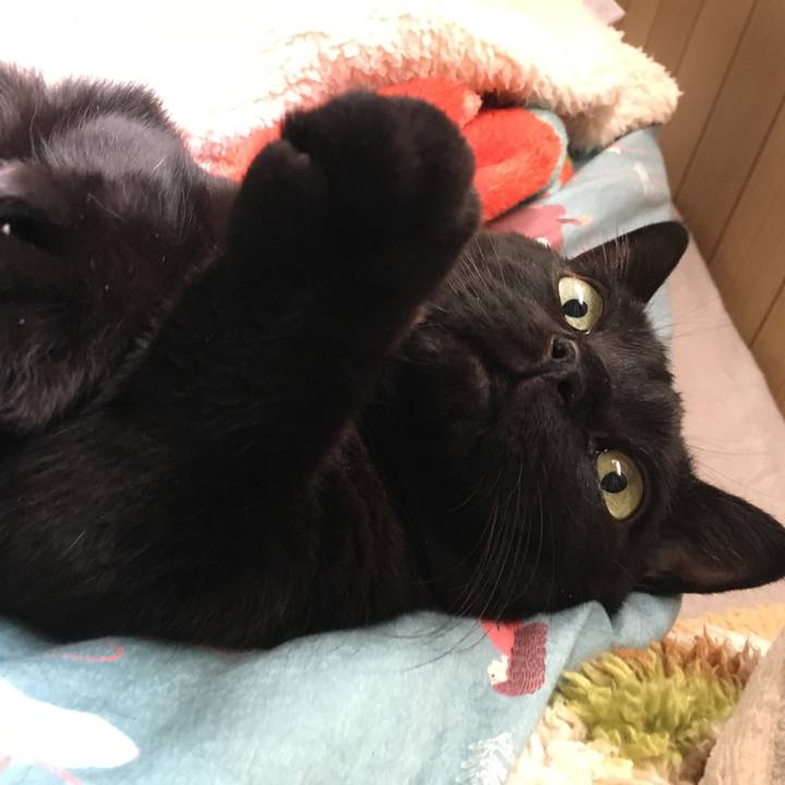 77dbf7d2 4e51 4ebc bf17 32de29fac6bf 1547627455216