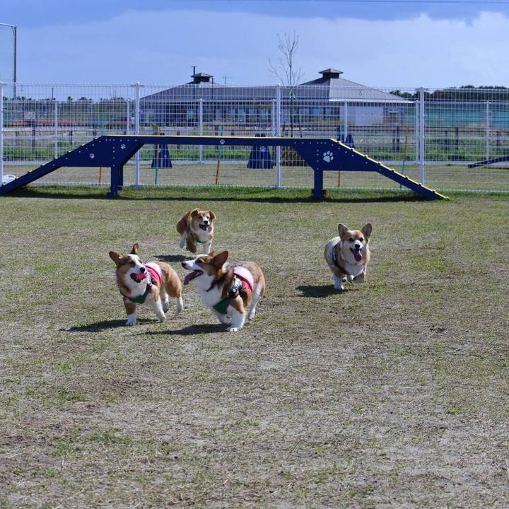 77dbfad4 50a1 4f89 b5dd bc499f21502c 1620124210438