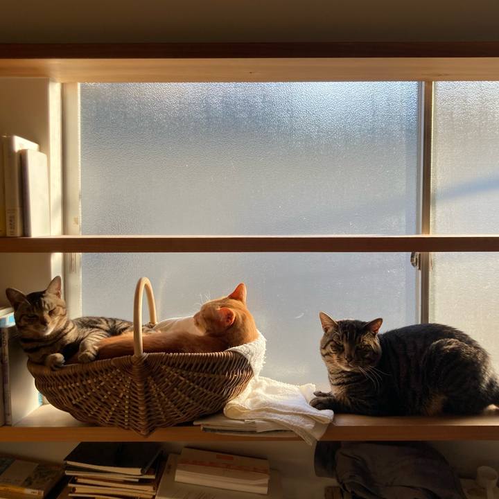 77dc0e1f 48f6 4005 ab8b aaa41db88ff3 1674564977076