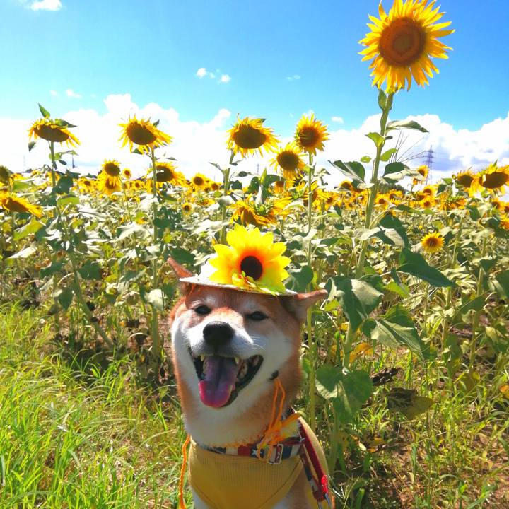 77dc3150 7035 4f76 aa7d f0b8b1fcc822 1692937293392