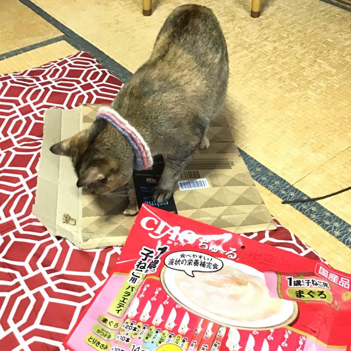 77dc356f a8df 4932 92e6 5869baa81d7e 1625105822114