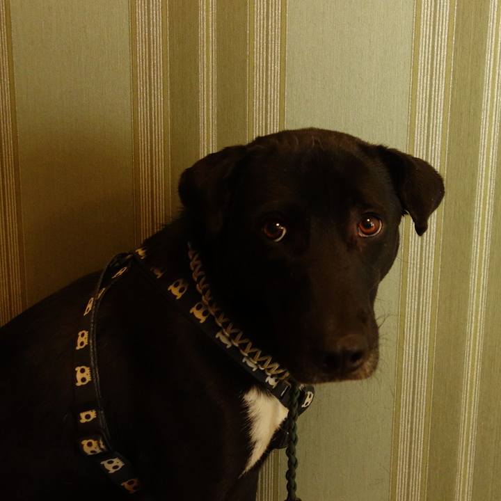 77dc37d0 06e4 4cbf bc09 6f0b00f6db73 1581332635018