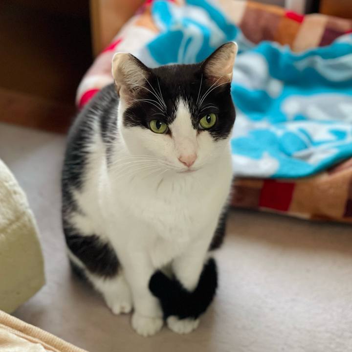 77dc5690 881a 46e4 897a e4ba7ccac562 1639278018994