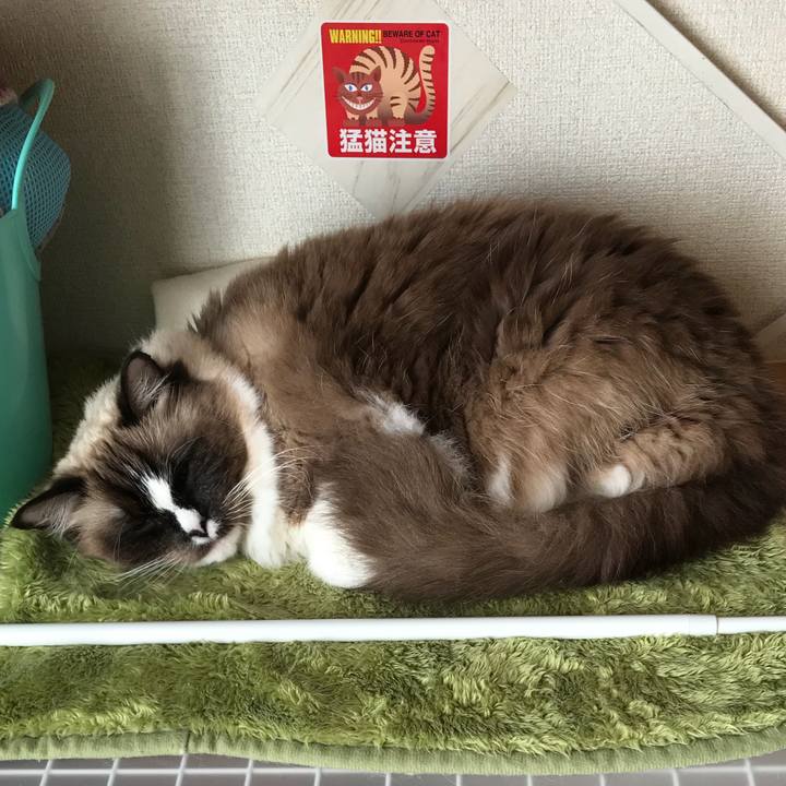 77dc6f51 f6fc 4589 8b75 ac89520d2e91 1514450683489