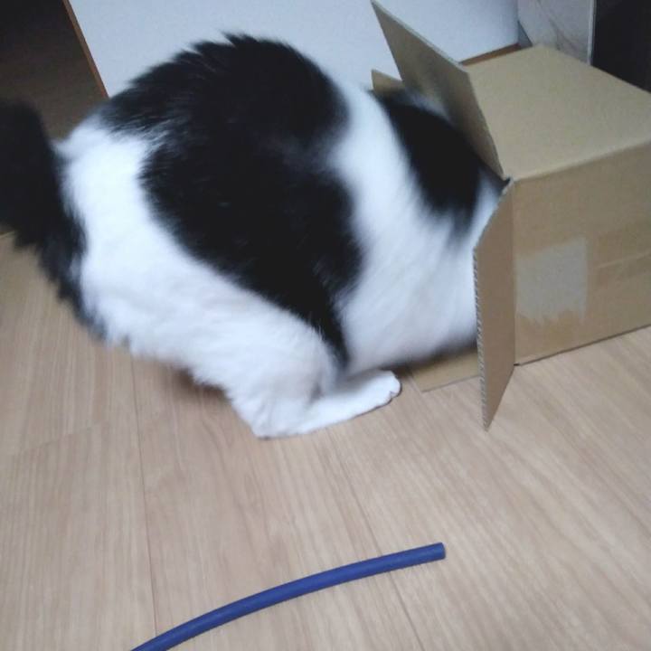 77dc7ac3 51c2 4c7c becf c7693013b6e1 1554816503022