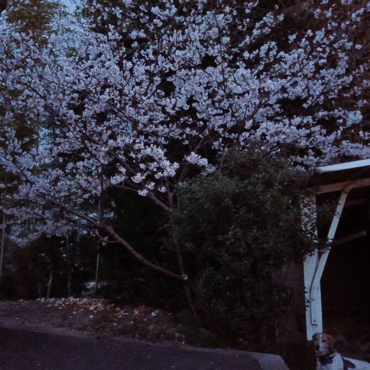 77dcd852 55ed 474f a805 628aca98e75f 1744026520544