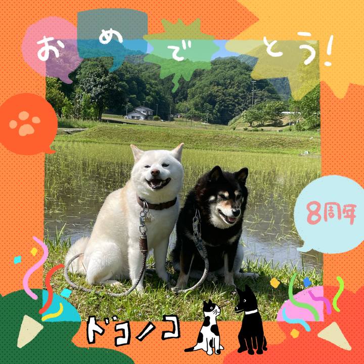 77dd070e 0c72 4709 9f61 bf50258981b5 1717555999592