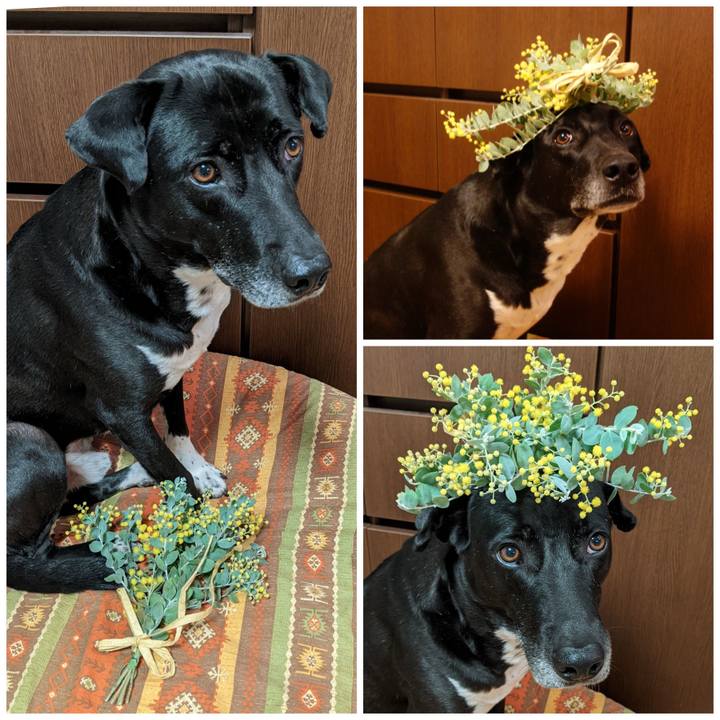 77dd4dc1 40d3 4757 be1c 552e5969d159 1647513881129