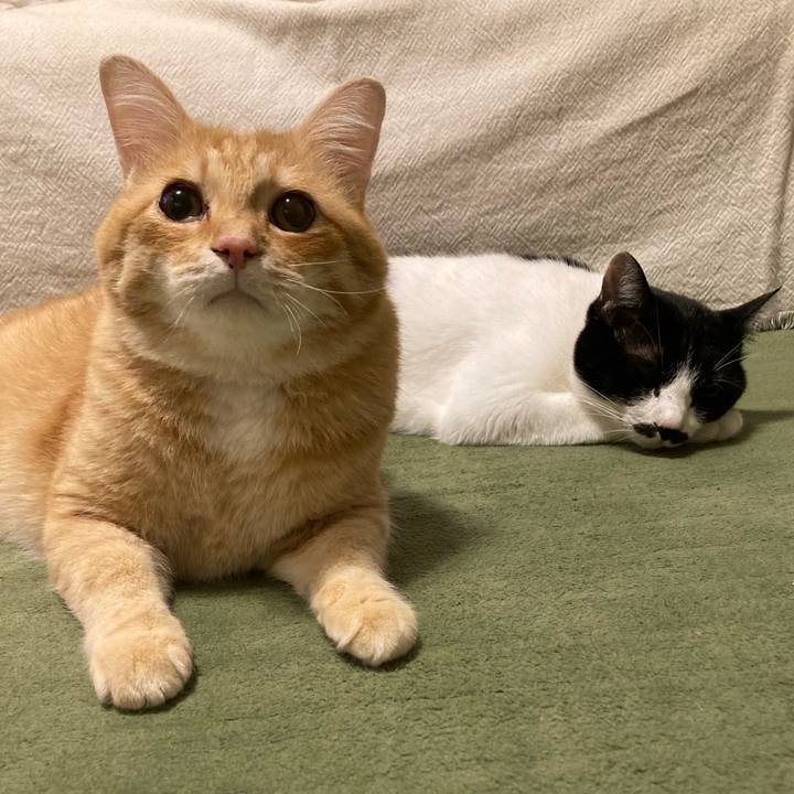 77dd7e2c 9228 43aa 848e 7d09313d8c0c 1762690367427