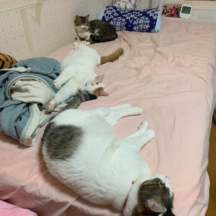 77dd8494 fa08 4a32 9979 d32de3dcfa74 1592407059636