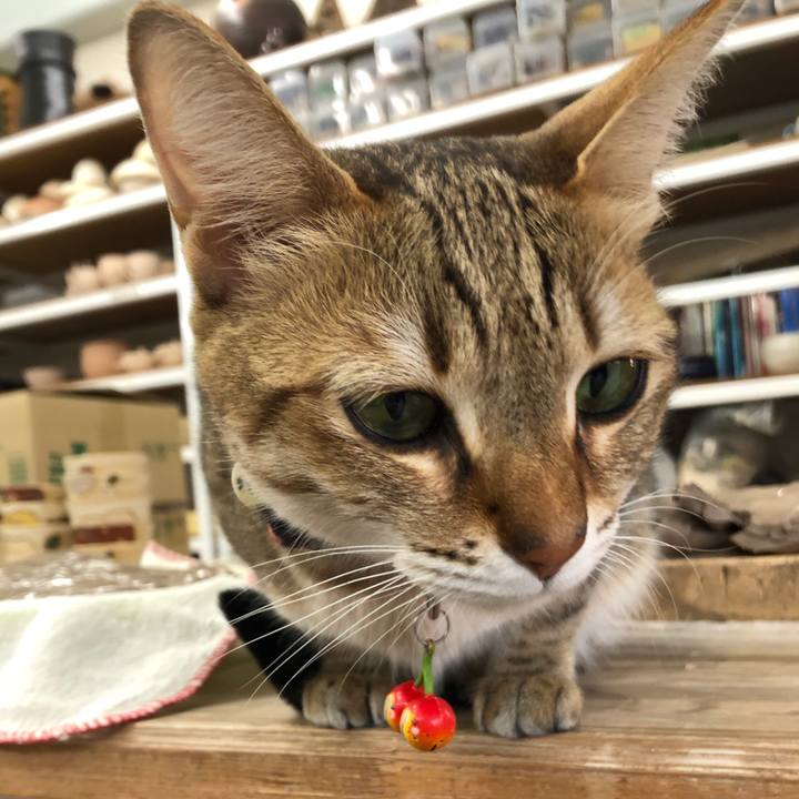 77dd8684 3fa6 40cf 91e4 dbd51def82a6 1648905651923