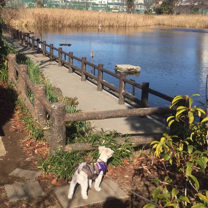 77dd8e9b 71d9 45ce 8e6c e6c78bfc9992 1513502165538