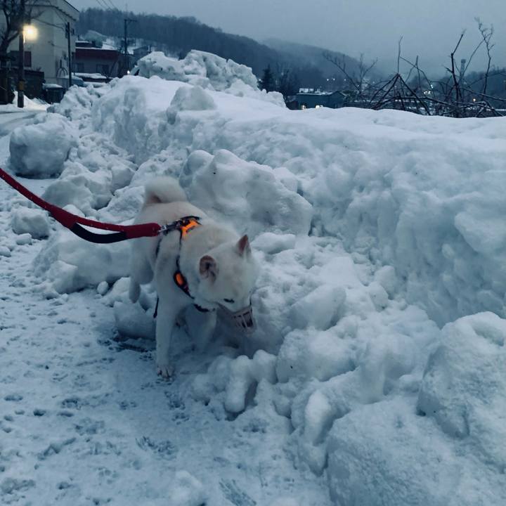 77dde01d 33c1 4a2f b62b e9498fde67ff 1672096529775