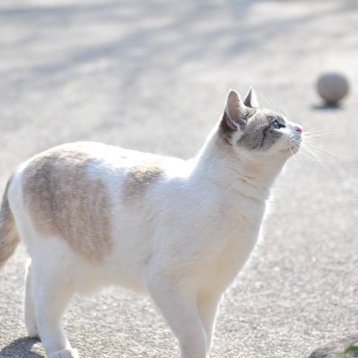 77ddf576 43f2 4e29 b13b 5f97733bf4b5 1518067611792