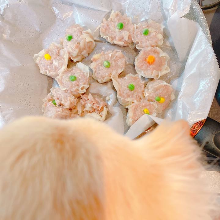 77de1e54 116a 4c5d a34c 09b0a59c73fb 1645274316038