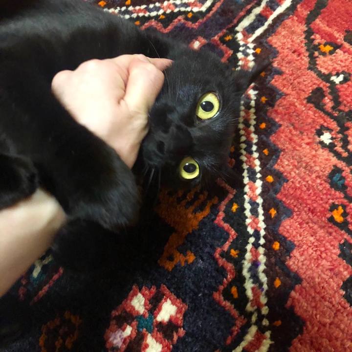 77de1ea0 134e 40cb b555 bb7cde876bcf 1558525130860