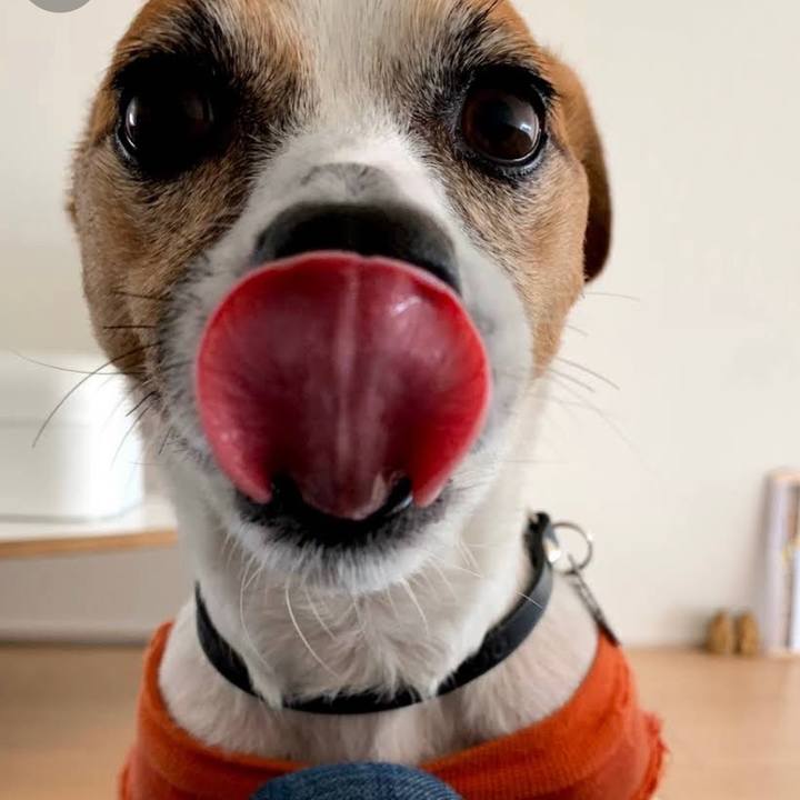 77de5154 2462 44dd aa84 533fa6e37bda 1675517026928