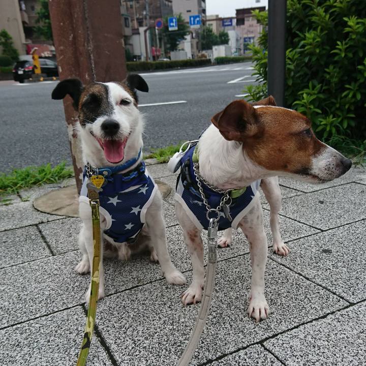 77de9338 d757 4163 a901 49e944d9a574 1563583985053