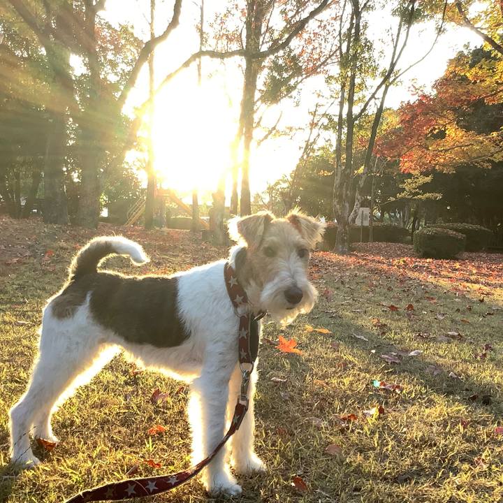 77dedd4f dfda 4669 ac7e 1319a8641e63 1763207819756