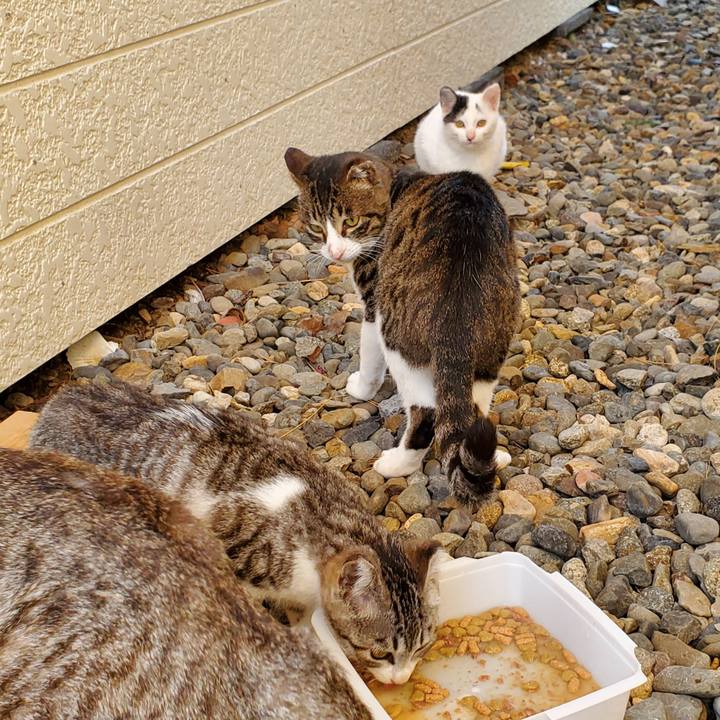 77dee99c 31f3 4adc adc9 6cfa67ea3e58 1700671890508