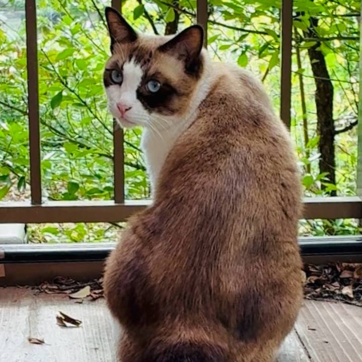 77df034d 0ae6 4a6d a0f4 531f80d761a1 1759809173905