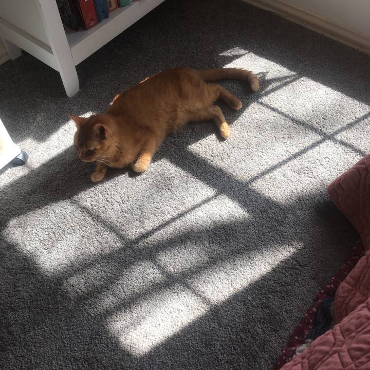 77df67b6 b93e 4bdc 8191 0fa84366a4d3 1646502231303