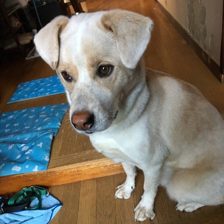 77df6bb9 8955 438b b8fb d16f56d84060 1508987880311