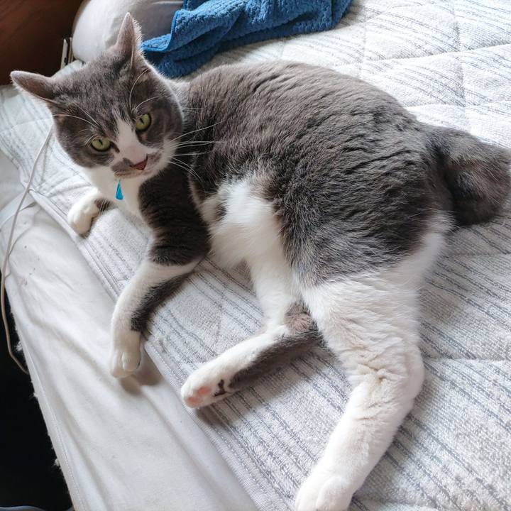 77df8cd7 9a05 415f 9297 623bec062c0d 1713590712873