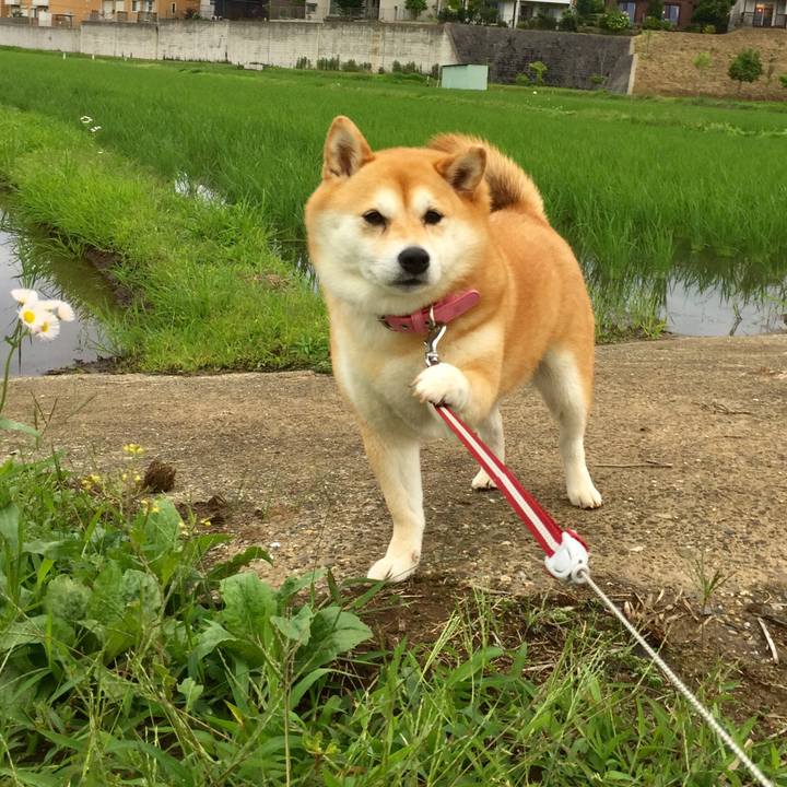 77dfca6b 1021 4808 ac07 3ee40dbfe673 1529584635139