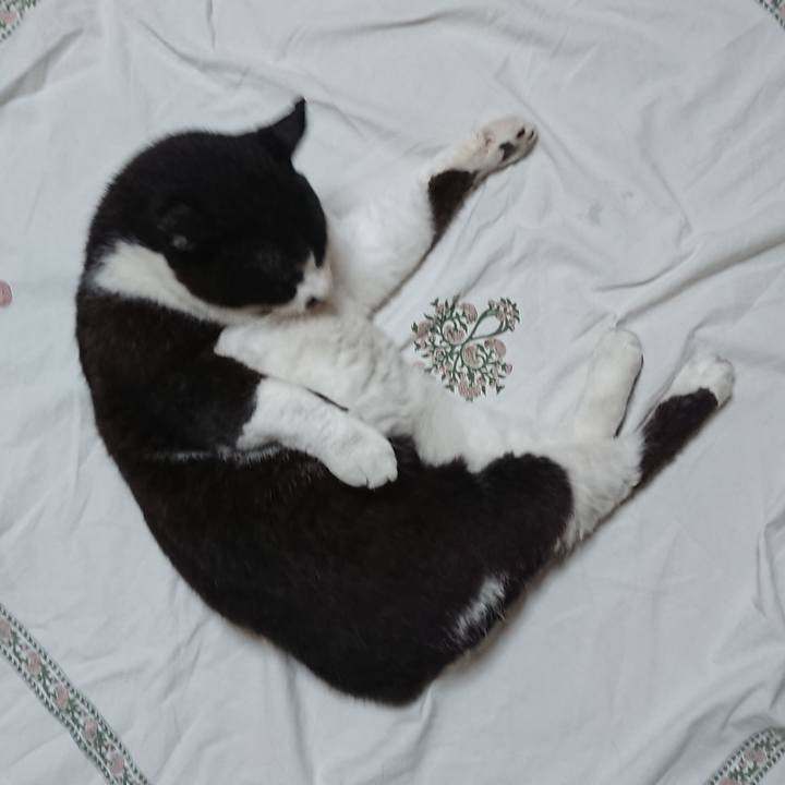 77dfe32d 2220 4aa5 ba2e f5bd609f38f2 1656028774341