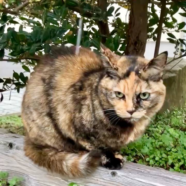 77dfe519 33eb 49fa ac84 0f85e74c7263 1736386979962