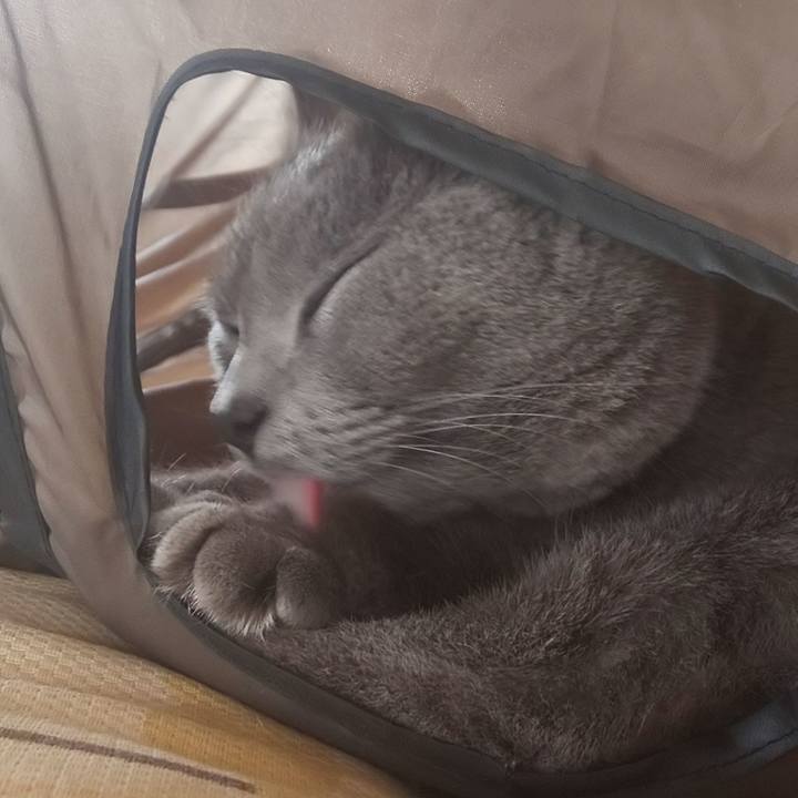 77dff257 bec2 4fcf 9f36 ff0e1f08ec75 1556068055072