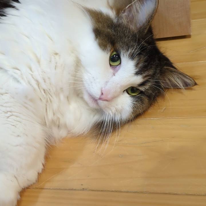 77e00161 612d 4a54 8f2e 8d87d6c8c0e7 1762516794999