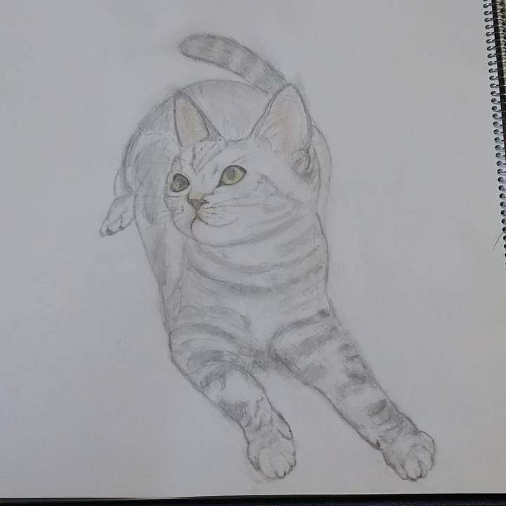 77e0122c 4dcf 4405 9cb8 84b49131d689 1556762321270