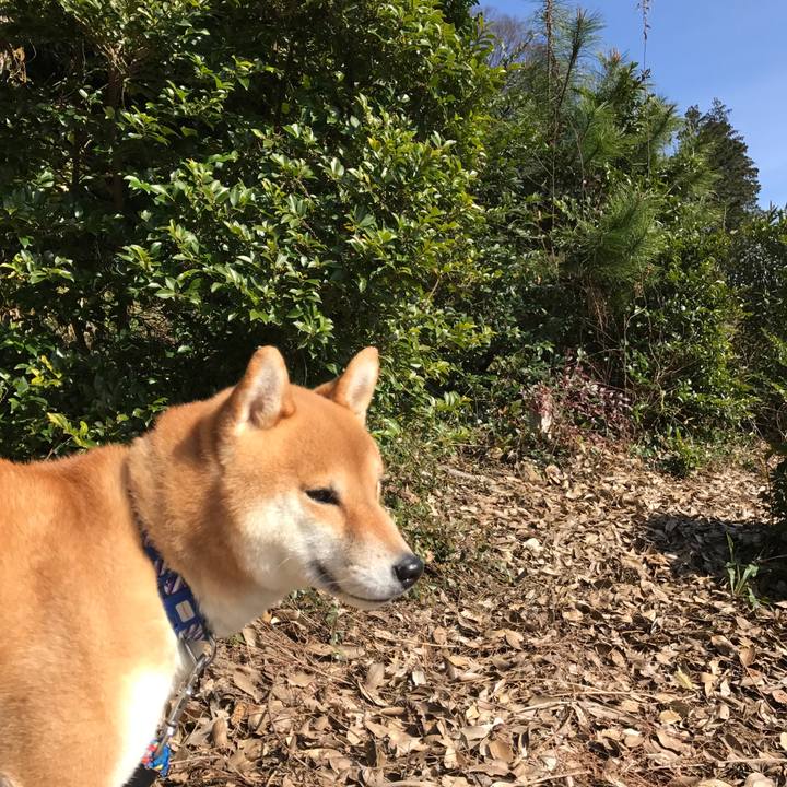 77e02163 9ff4 45cf 8c50 11deb890770e 1550467291454