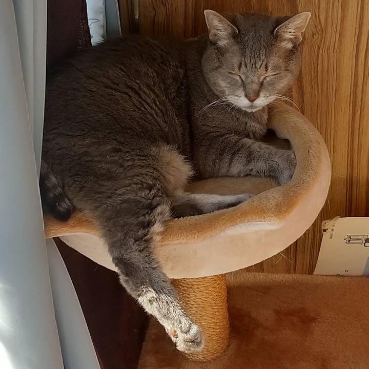 77e0501b 4653 4cb7 ad7b f9e45e5ffb57 1666486297245