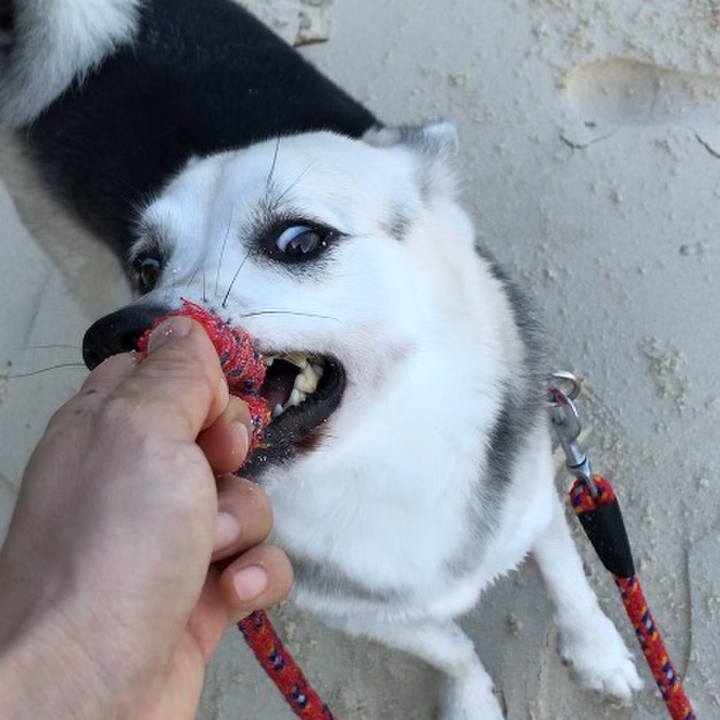 77e07901 10cf 4e1f 9f70 77b162e140fe 1571312142350