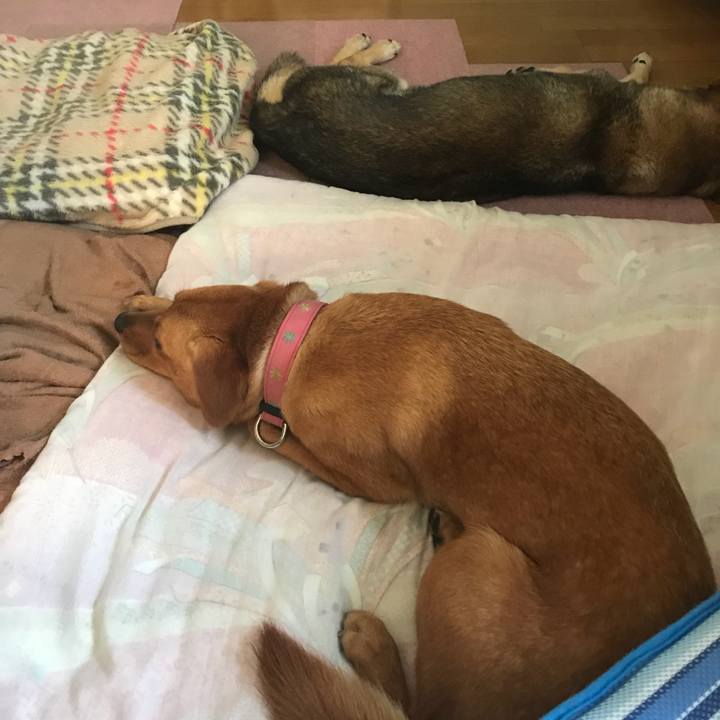 77e084e4 0181 4654 9e52 339df9402383 1531313150459